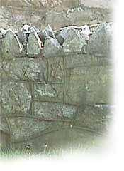 Stone Wall at Edinburg Mill